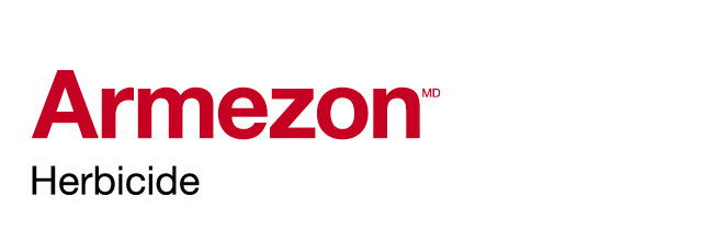 Armezon logo